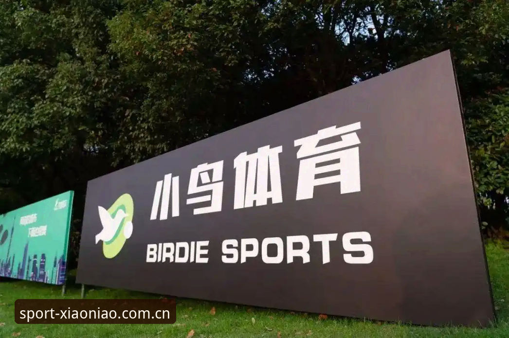 小鸟体育安全吗安装失败最新动态:深度解析用户反馈与解决方案,揭秘平台独家资讯